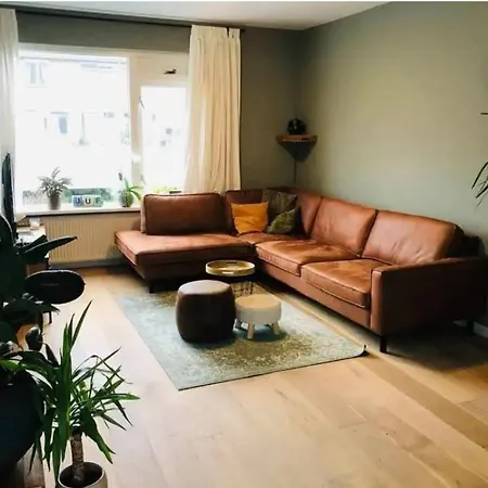 Homestay In Privat bolig *